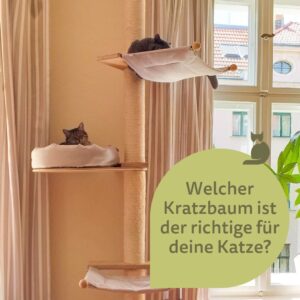 Zwei Katzen nutzen Kratzbaum im Wohnzimmer – ideal für Mehrkatzenhaushalte
